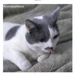 Tim Huth - @timhuth2008 - Instagram