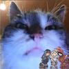 Tim Huttner307 - @timhuttner307 - TikTok