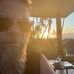 Tim Ireland - Facebook