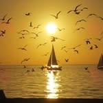 Tim Ivins - @tivins55 - Instagram