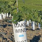 Tim Jäger - @tim.jager.501 - Instagram