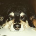 Tim Jäger - @timmus76 - Instagram
