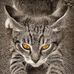 Tim Jager - Facebook