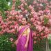 Januka Timsina - Facebook