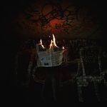 Tim Janzen - @tim.janzen - Instagram