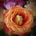 Tim Jimenez - Facebook