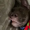Tim Jones - @tim.joness - TikTok