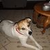 Tim Jones - Facebook