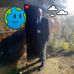 Tim Joy - Facebook