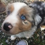 Tim Joy - @chim8878 - Instagram