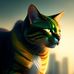 Tim Joy - Facebook