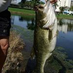 Tim Kahle Jr. - @bustin_my_bass - Instagram