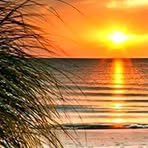 Tim Kain - Facebook