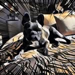 Tim Kain - @timbox13 - Instagram