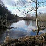 Tim Keating - @rod_johnson07 - Instagram