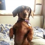 Tim Keating - @keating.tim - Instagram
