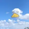 tim.keely - @tim.keely - TikTok