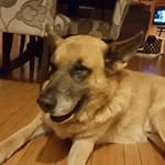 Tim Kehoe - @kehoe.tim - Instagram
