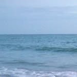 Tim Kehoe - @kehoe_t - Instagram