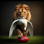 Tim Kehoe - @timkehoe_ - Instagram
