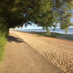 Tim Kehoe - @tim_kehoe - Instagram