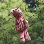 Tim Kennard - @bpd_boi - Instagram