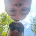 Tim Kersting - Facebook