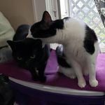 Tim Keyes - @timkeyes5 - Instagram