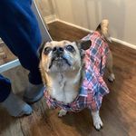 Tim Kidwell - @timmy_kidwell1972 - Instagram