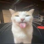 Timmy Kidwell - @t1mmy43 - Instagram