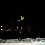 Tim Killen - @tim.killen.5055 - Instagram