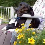 Tim B Kimball - @tim.b.kimball - Instagram