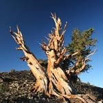 Tim Kimball - @kimball1955 - Instagram