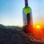 @timkinder1990 - Instagram