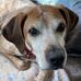 Timothy Kinder - Facebook