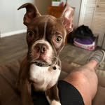 Tim Kirby - @tkirby_bulk - Instagram