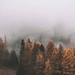 Timornyák Ivett - @timornyak_ivett - Instagram