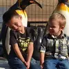 timothykleckner - @timothy.kleckner - TikTok