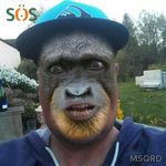 daChimp - @tim.kling.7 - Instagram