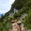 timo.klocker - @timo.klocker - TikTok