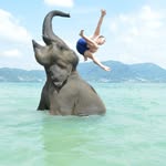 Tim Köhler - @tim.koehler.97 - Instagram