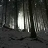 Tim kremer008 - @tim_00010 - TikTok