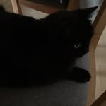 Tim Kress - @kress3643 - Instagram