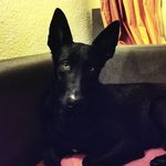 Tim T Kühn - @tim.kuhn.75033 - Instagram
