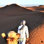 OFFLIGNE - @timlaline_offligne - Instagram