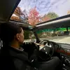 Tim - @tim._la - TikTok