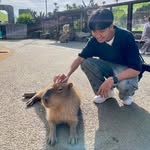@t.i.m_l.a.m - Instagram