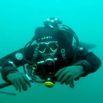 Tim Lammers - @timlammers1 - Instagram