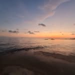 Tim Lamb - @tim.lamb.3597 - Instagram