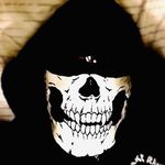 Tim Landry - @dogkicker101 - Instagram
